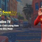 Socolive – Nơi tôi và anh em xem bóng đá trực tiếp đã mắt, soi tỷ lệ kèo Malaysia chuẩn chỉnh mỗi ngày