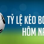 Đọc trận đấu bằng con số – Khám phá cách Vebo Live khiến tỷ lệ kèo bóng đá trở nên sống động hơn bao giờ hết